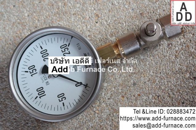 kromschroder Pressure Gauge Push Buttom Valve (12)